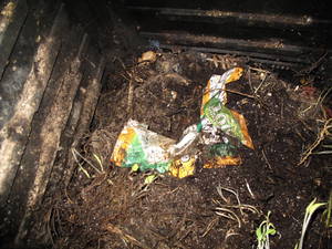 SunChipsBag June 23.jpg